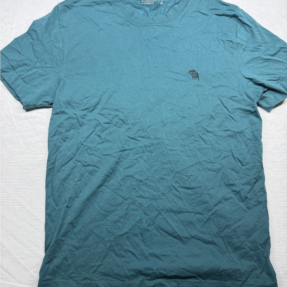 Abercrombie & Fitch Teal Short Sleeve Tee